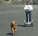 Segway Donna Reggie OR 9478